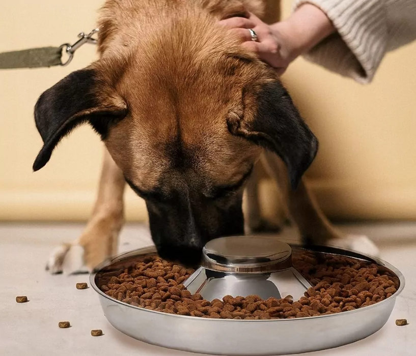 Kör alakú tál fém kutyák és macskák számára, ideális vízhez, száraz vagy nedves ételekhez, 26 cm átmérőjű