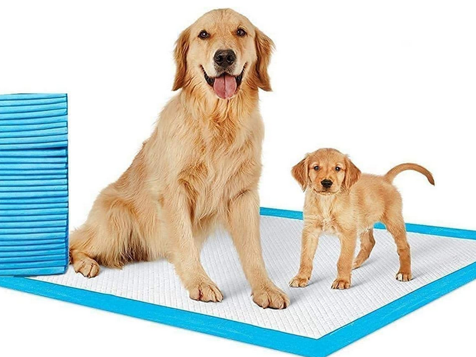 Ρυθμίστε 20 απορροφητικά χαλιά για σκύλους, διαστάσεις μεγέθους L 60 x 90 cm