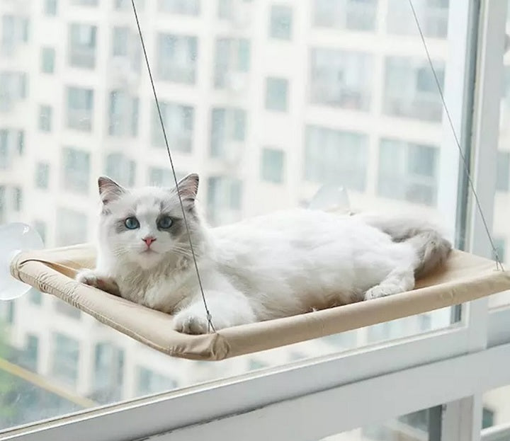 Felfüggesztett ágy Hamac típusú macskákhoz, üvegre szerelve szívócsészével, 55x32cm, krém