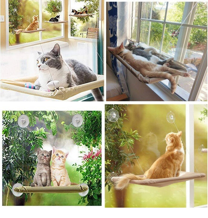 Τύπος Hamac για γάτες, τοποθέτηση σε γυαλί με φλιτζάνια αναρρόφησης, 55x32cm, κρέμα
